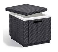 Petite Table Seau A Glace keter Ice Cube Allibert 42x41x41 CM 40 Lt