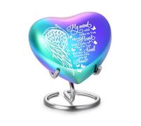 Petite urne funéraire en pot pour animaux de compagnie, jar pour mémoriaux et souvenirs, urne pour chien et chat, mini urne commémorative pour cendres de crémation (Ailes-Arc-en-ciel)