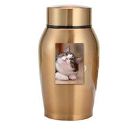 Petite urne funéraire étanche en acier inoxydable pour animaux de compagnie, chiens, chats, souvenirs durables | Boîte de rangement moyenne et grande pour famille d'animaux