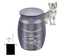 Petite urne funéraire souvenir pour cendres - Urne funéraire en acier inoxydable pour cendres d'animaux domestiques - Urne commémorative pour chats et chiens