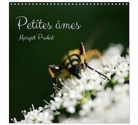 Petites âmes (Calendrier mural carré 2026 30x30 cm) Calendrier double avec une page pour vos prises de notes: Petites ailes, pattes et coeurs