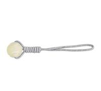 Petites balles de dressage pour chiots - Jouet puzzle interactif pour chien | Pour les parents, les entraîneurs, les amoureux des animaux, appartement, chambre, salon, parc d'étude, cour, pelouse