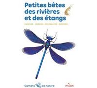 Petites bêtes des rivières et des étangs Léon Rogez (Auteur), Anne Eydoux (Illustration), Lucie Brunellière (Illustration)