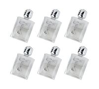 Petites bouteilles d'eau sacrées en verre anti-fuite avec 15 ml Design carré Cadeau chrétien Pratique de Dévotion Présentation pour une utilisation dans l'église Bouteilles d'eau sacrées
