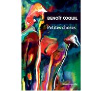 Petites choses - Benoît Coquil - Rivages - Poche - Roman
