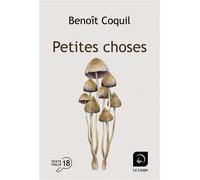 Petites choses Édition en gros caractères - Benoît Coquil - De La Loupe - broché - Roman