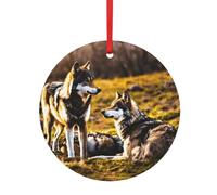 Petites décorations de Noël 2024 avec imprimé loups - Tailles assorties (S, L)