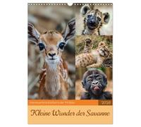 Petites merveilles de la savane, Version française (Calendrier mural 2026 DIN A3 portrait), Calendrier CALVENDO mensuel