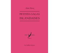 Petites sagas islandaises