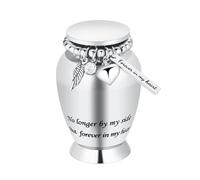 Petites urnes pour cendres humaines Urne de crémation pour cendres humaines avec ailes Charme Mini Urne personnelle Funeral pour animal de compagnie (petites ailes argentées)