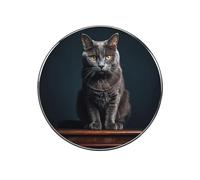 Petits aimants de réfrigérateur imperméables et puissants pour réfrigérateur, chat sur table, accessoires de cuisine, aimants décoratifs mignons pour tableau blanc, casier, bureau, décoration