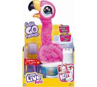 Petits animaux vivants Flamant rose