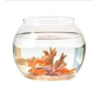 Petits aquariums pour animaux de compagnie, aquarium décoratif de bureau pour guppies, design sphérique moderne, aquarium miniature d'eau froide pour la maison ou le bureau