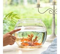 Petits aquariums pour animaux de compagnie, aquarium décoratif de bureau pour guppies, design sphérique moderne, aquarium miniature d'eau froide pour la maison ou le bureau