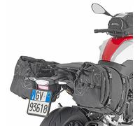 Petits Chassis Latéral Pour BMW F900R/F900XR (2020)