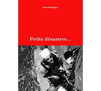 Petits désastres