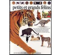 Petits et grands félins