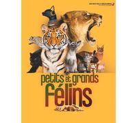 Petits Et Grands Félins