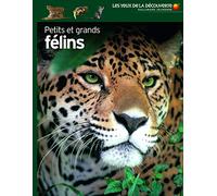 PETITS ET GRANDS FELINS
