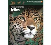 PETITS ET GRANDS FELINS