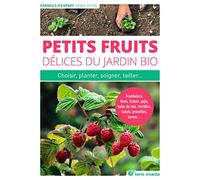 Petits Fruits, Délices Du Jardin Bio - Choisir, Planter, Soigner, Multiplier - Framboises, Kiwis, Fraises, Gojis, Baies De Mai, Myrtilles, Cassis, Groseilles, Sureau