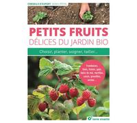 Petits fruits, délices du jardin bio Choisir, planter, soigner, tailler... - Denis Pépin - Terre Vivante - broché - Guide