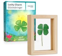 Petits Porte-Bonheur : Véritable Trèfle à Quatre Feuilles à Offrir - Cadre Bois 7,5x5,6cm - Cadeau Chance Examen - Cadeau Réconfort - Porte-Bonheur Original - Inovida