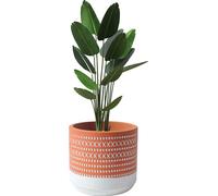 Petits Pots Pour Plantes Boho Pour L'intérieur, Pots Artisanaux En Ciment Pour Plantes D'intérieur, Pots Pour Succulentes Avec Trous De Drainage