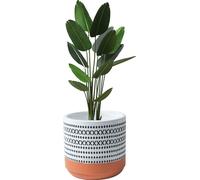 Petits Pots Pour Plantes Boho Pour L'intérieur, Pots Artisanaux En Ciment Pour Plantes D'intérieur, Pots Pour Succulentes Avec Trous De Drainage