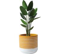 Petits Pots Pour Plantes Boho Pour L'intérieur, Pots Artisanaux En Ciment Pour Plantes D'intérieur, Pots Pour Succulentes Avec Trous De Drainage