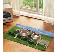 Petits prés aux ânes,Tapis d'alimentation pour Animaux de Compagnie, Sets de Table en Cuir PU pour Chats et Chiens,30x45cm
