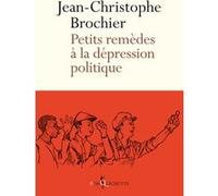 Petits remèdes à la dépression politique Brochman (Auteur)