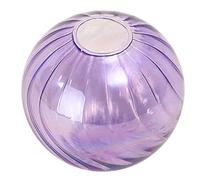 Petits vases élégants en forme de boule de verre transparent pour présentation de fleurs, petits bourgeons, pots de fleurs, décoration d'étagère de bureau, vases en verre transparent