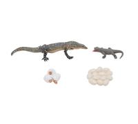 petjoyful 4 pièces Jouet de Cycle de Vie de lézard PVC Jouet de Cycle de Croissance d'animal de Reptile éducatif réaliste
