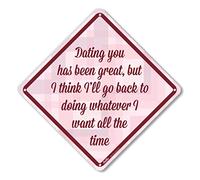 PetKa Signs and Graphics PKBU-0002-NA_25,4 x 25,4 cm Dating You has Been Great, but I Think I'll go Back to Doing Whatever I Want All The Time » Panneau en aluminium Motif chevron rouge/rose 25,4 x 25,4 cm