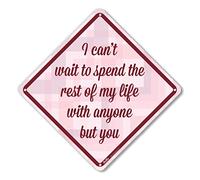 PetKa Signs and Graphics PKBU-0004-NA_10x25,4 cm I can't Wait to Spend The Rest of My Life with Anyone but You Panneau en aluminium Motif chevron rouge/rose 25,4 x 25,4 cm