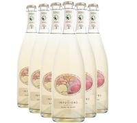 Pet'Nat' Les Infusions Blanc de Noirs - Blanc - Villa Noria - Vin de France - Vin Blanc (6x75cl) BIOEffervescent