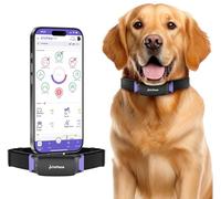 PetPace V3.0 Moniteur de santé pour chien - Collier de santé IA avec signes vitaux 24h/24 et 7j/7 suivi de la douleur GPS, télésanté AskaVet et partager avec votre vétérinaire et synchronisation Apple