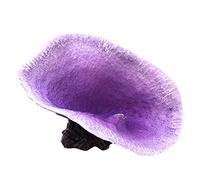 PetPhindU Aquarium Fish Tank Décoration Résine Décor Violet Corail Imitation Algues des Récifs Coralliens Fish Tank Ornement De Corail Artificiel De Mer Plantes pour Poissons Aménagement Paysager