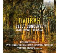 PETR NOUZOVSKY/CZECH - DVORAK SILENT WOODS CELLO CO - CD - E4z