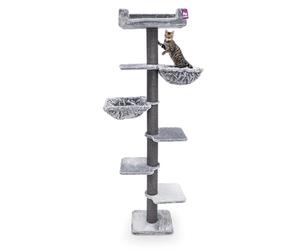 Petrebels Arbre à Chat Alexis 224 cm, Couleur Gris, XXL Arbre à Chat Qui File Jusqu'au Plafond (Fixation Murale)