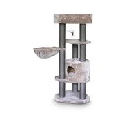 PETREBELS-Arbre à chat avec panier et griffoir coloris cappuccino Charlotte Royal Petrebels - 134 cm
