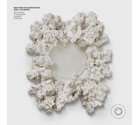 Petrenko Conducts The Berlin Philharmonic