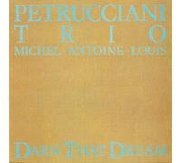 Petrucciani trio
