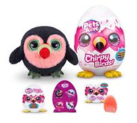 Pets Alive Chirpy Birds Jouet interactif Surprise avec Parole électronique et répétition, Toucan