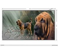 Pets-easy Autocollant Chien panoramique 25 cm Saint-Hubert