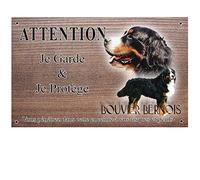 Pets-Easy.com Panneau Attention au Chien personnalisée Bouvier Suisse - pré perforée et vis comprises. De 30 cm à 15 cm…