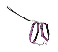 PetSafe 3-in-1 Harness - Comfortable Easy-Walk Dog Chest Harness with Front Leash Attachment to Reduce Pulling, Choking & Gagging - Dog Obedience Gear - Medium - Plum