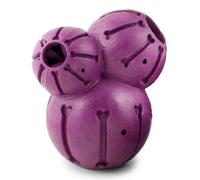 PetSafe Busy Buddy Barnacle Jouet pour Chien Taille M