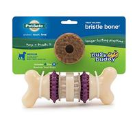 PetSafe Busy Buddy Bristle Bone Medium